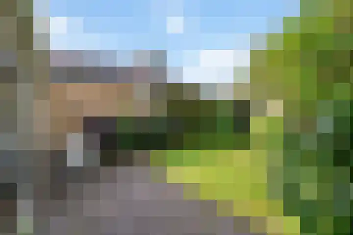 Rubenslaan 27 Woudenberg thumbnail 31