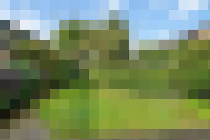 Rubenslaan 27 Woudenberg thumbnail 32