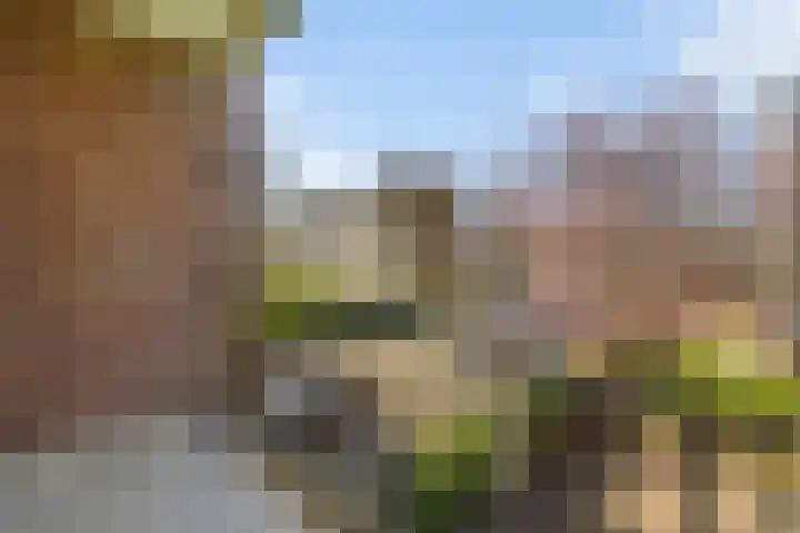 Rubenslaan 27 Woudenberg thumbnail 35