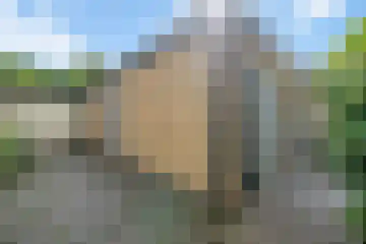 Rubenslaan 27 Woudenberg thumbnail 4