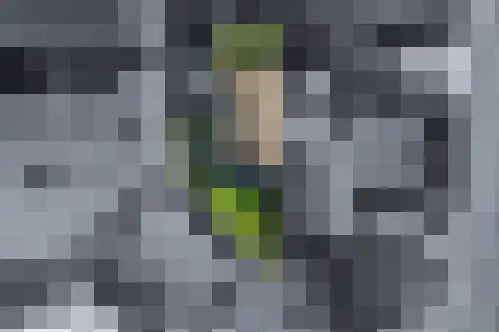 Rubenslaan 27 Woudenberg thumbnail 7