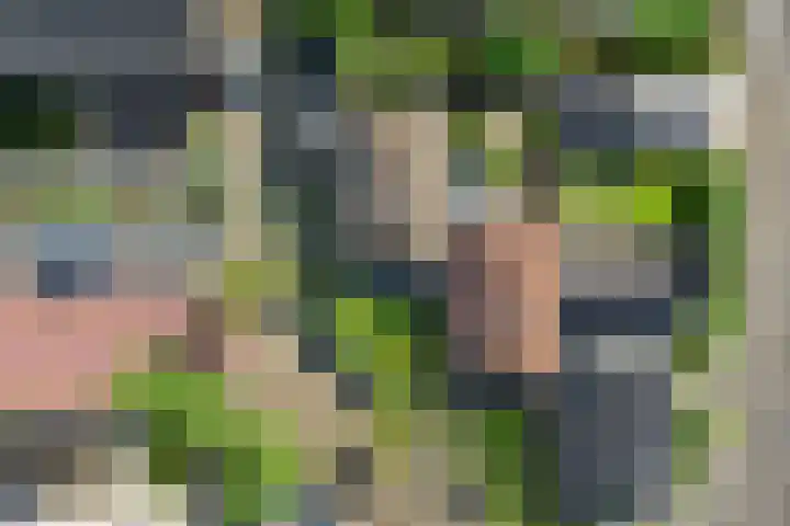 Rubenslaan 27 Woudenberg thumbnail 8