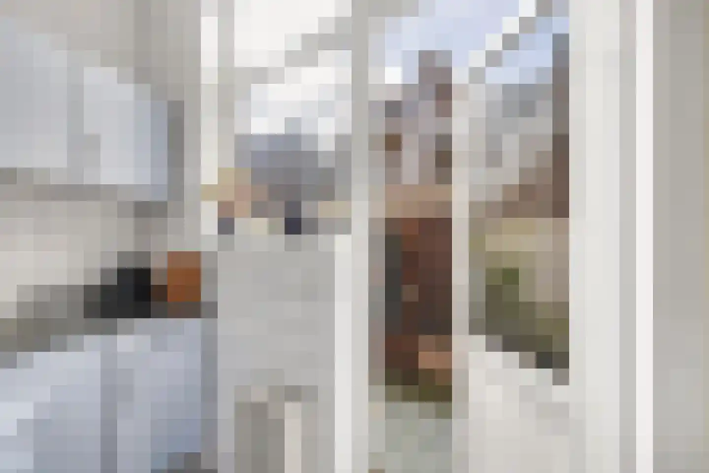 Rubenslaan 3 A Schiedam thumbnail 15
