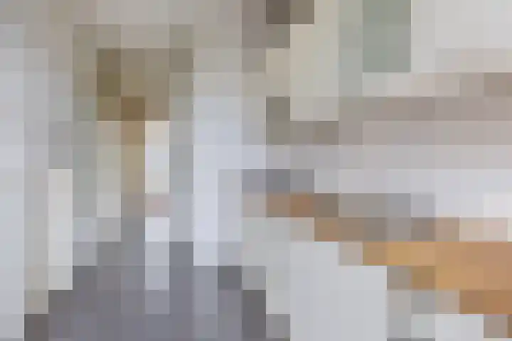 Rubenslaan 3 Krimpen aan den IJssel thumbnail 15