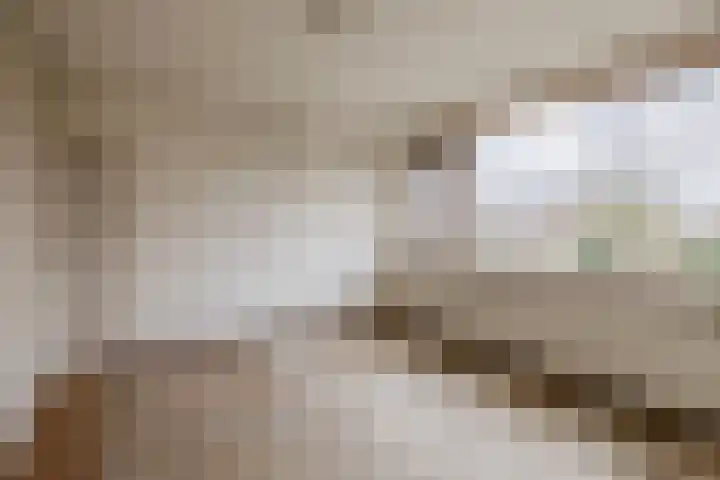 Rubenslaan 3 Krimpen aan den IJssel thumbnail 27