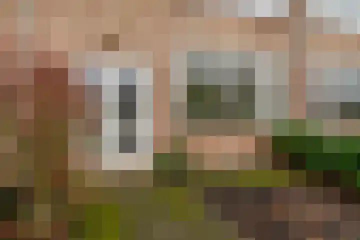 Rubenslaan 3 Krimpen aan den IJssel thumbnail 5