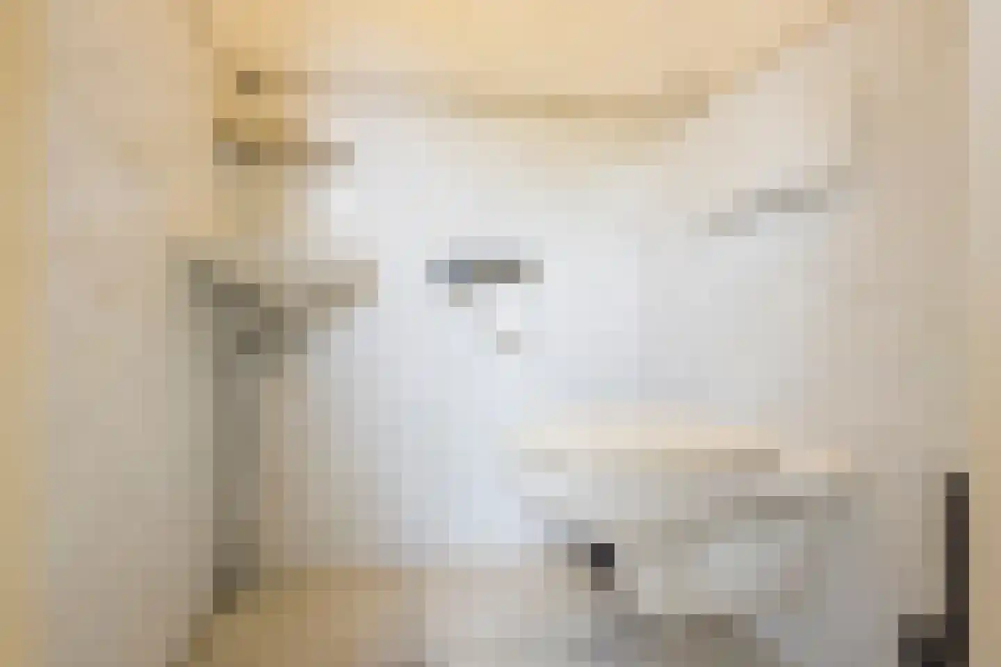 Rubenslaan 3 Nijkerk thumbnail 12