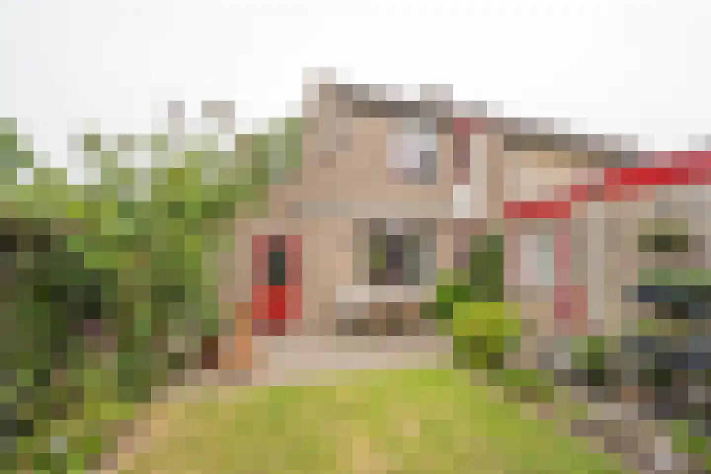 Rubenslaan 3 Nijkerk thumbnail 30