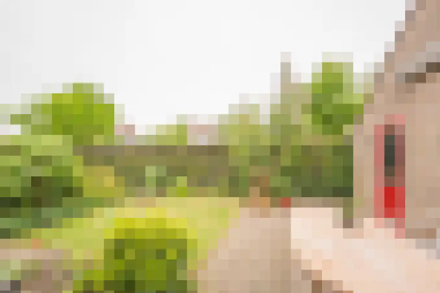 Rubenslaan 3 Nijkerk thumbnail 32