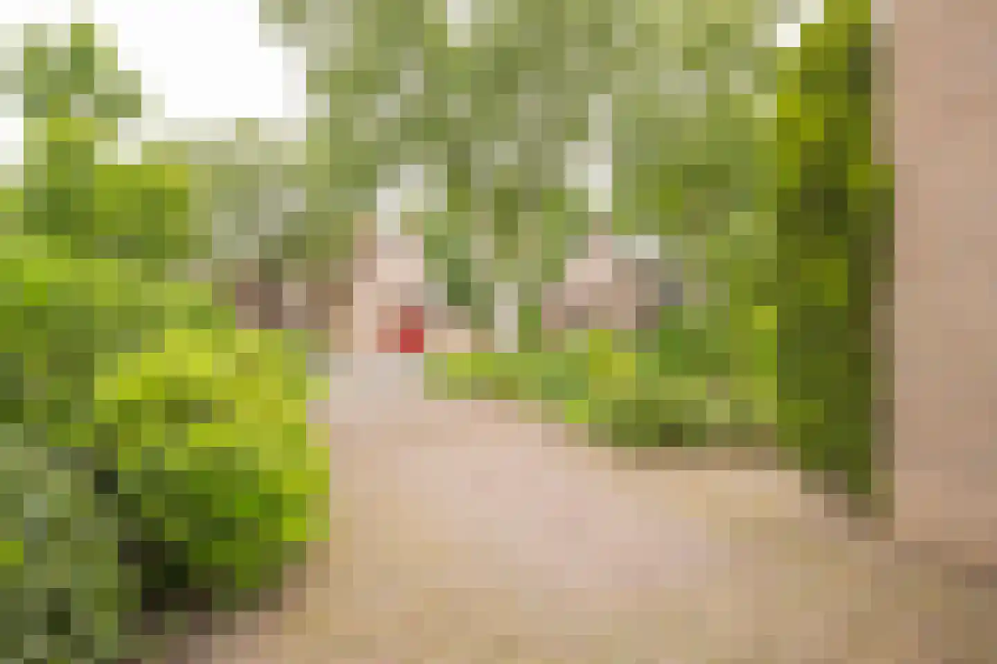 Rubenslaan 3 Nijkerk thumbnail 35