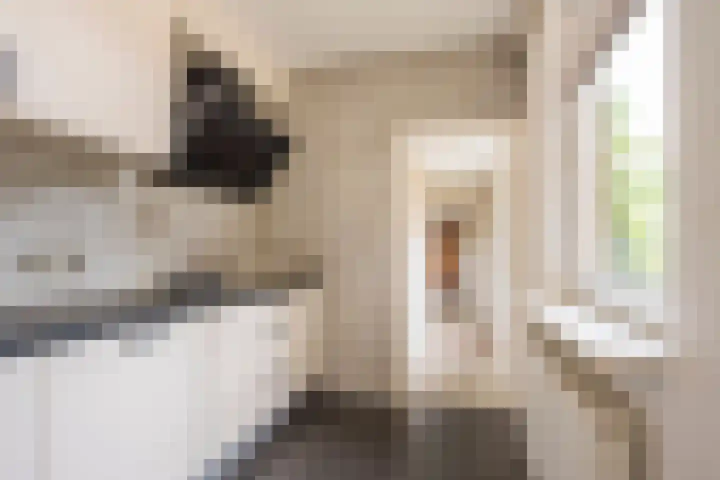 Rubenslaan 3 Nijkerk thumbnail 8
