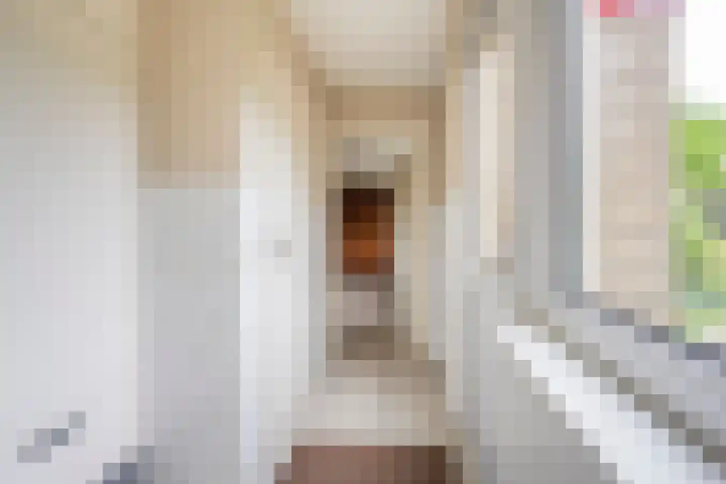 Rubenslaan 3 Nijkerk thumbnail 9