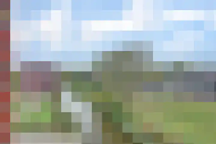Rubenslaan 30 Vlissingen thumbnail 28