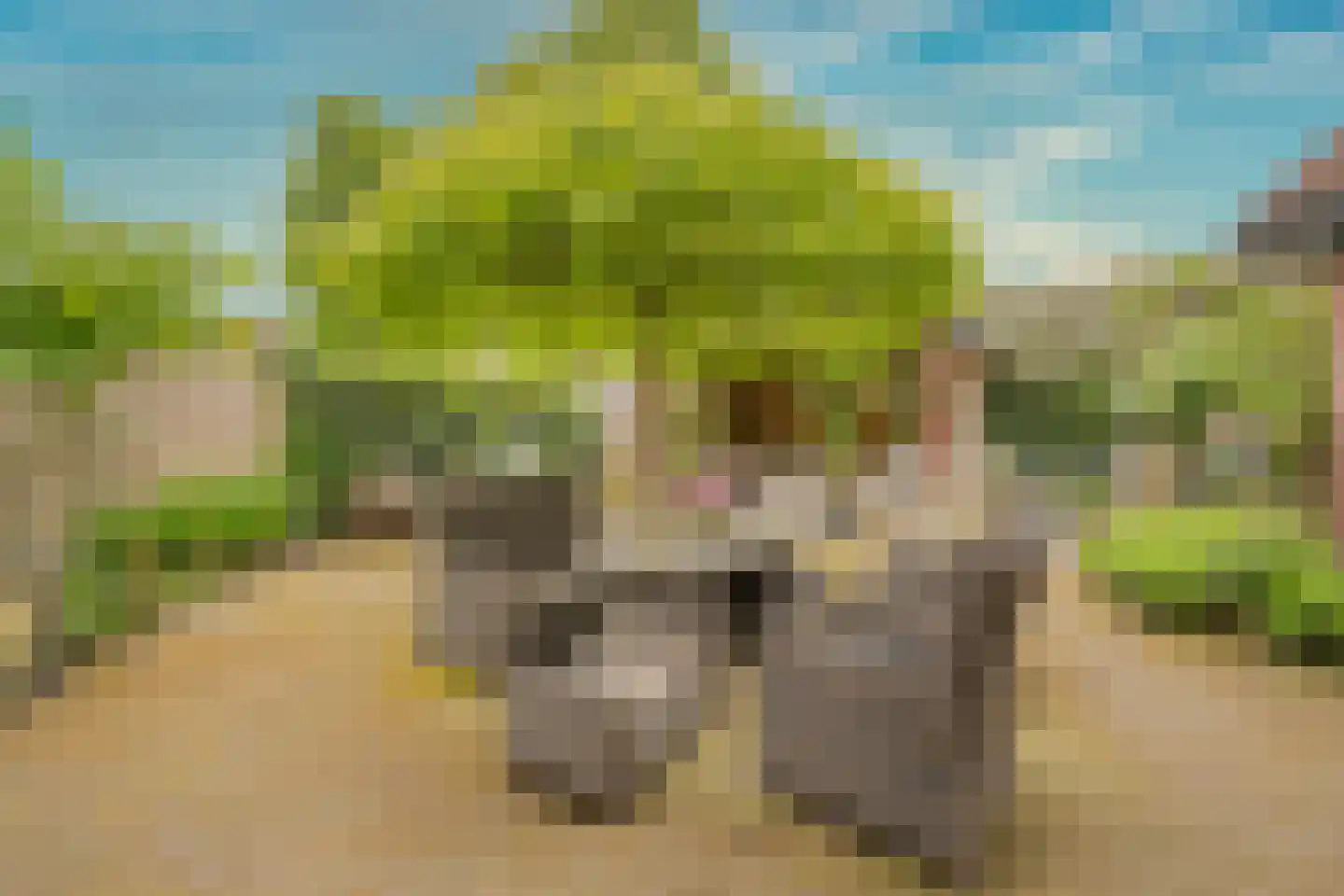 Rubenslaan 33 Nijkerk thumbnail 29