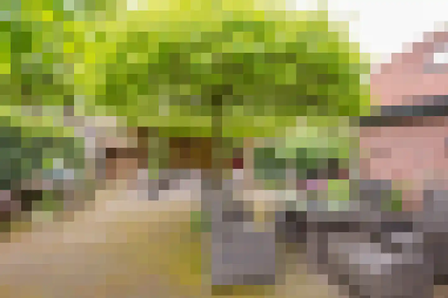 Rubenslaan 33 Nijkerk thumbnail 30