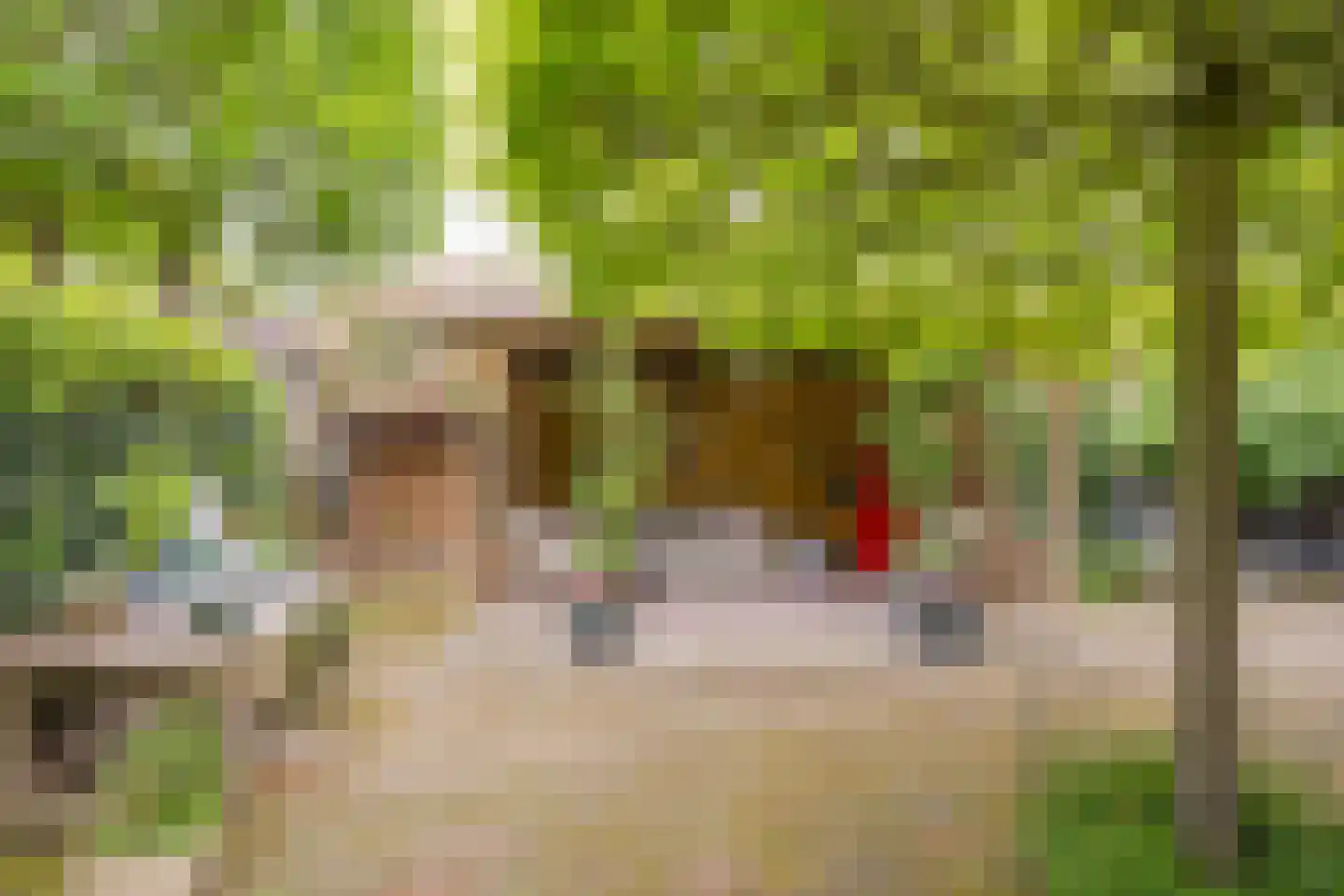 Rubenslaan 33 Nijkerk thumbnail 31