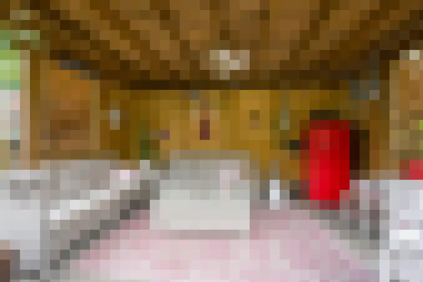 Rubenslaan 33 Nijkerk thumbnail 32
