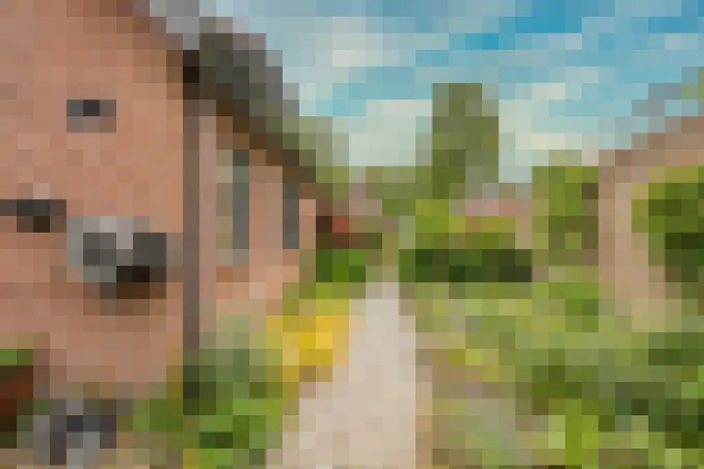 Rubenslaan 33 Nijkerk thumbnail 36
