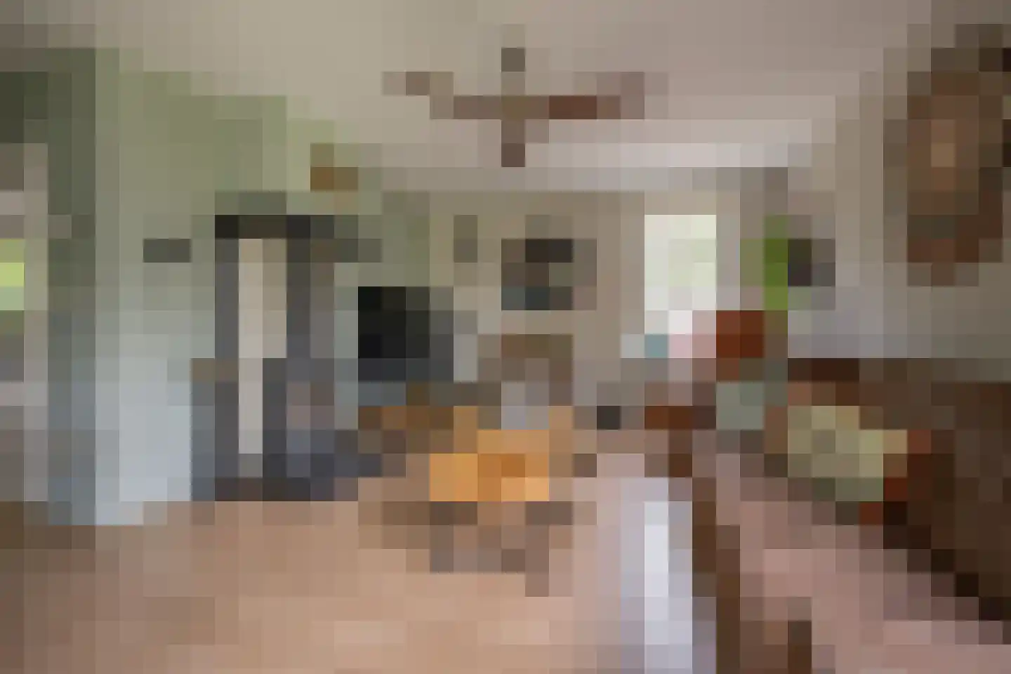 Rubenslaan 33 Nijkerk thumbnail 4