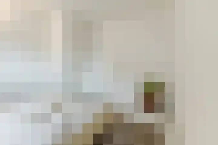 Rubenslaan 4 a Budel thumbnail 14