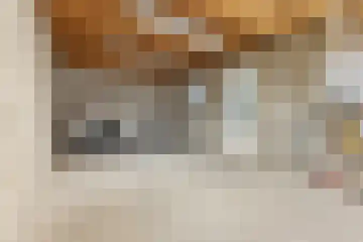 Rubenslaan 4 a Budel thumbnail 22