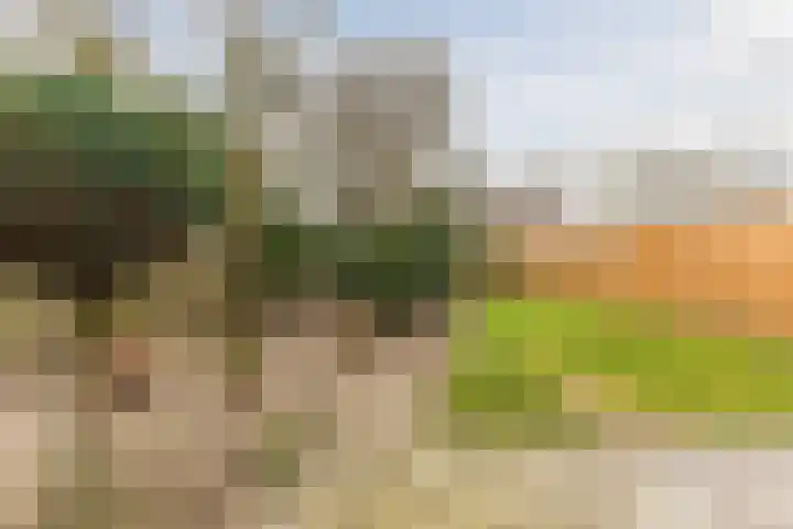 Rubenslaan 4 a Budel thumbnail 28