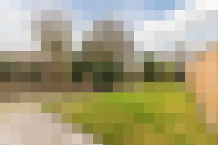Rubenslaan 4 a Budel thumbnail 29