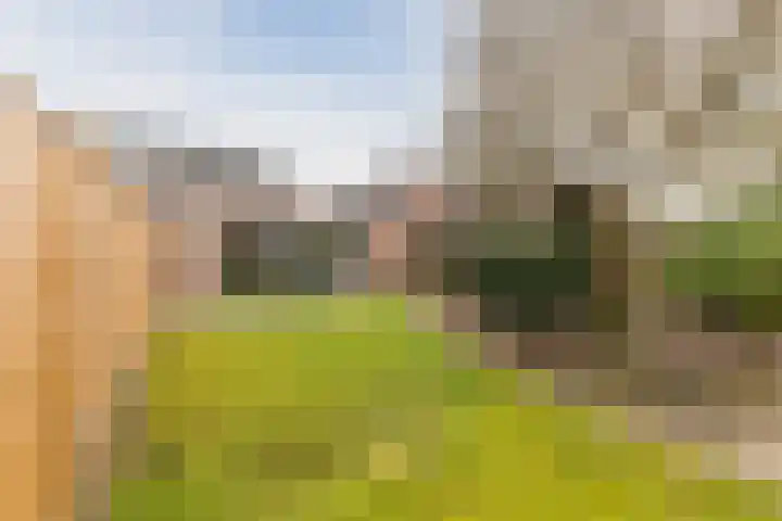Rubenslaan 4 a Budel thumbnail 30