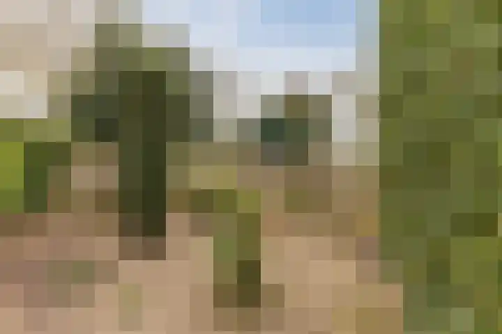 Rubenslaan 4 a Budel thumbnail 31