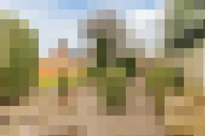 Rubenslaan 4 a Budel thumbnail 33