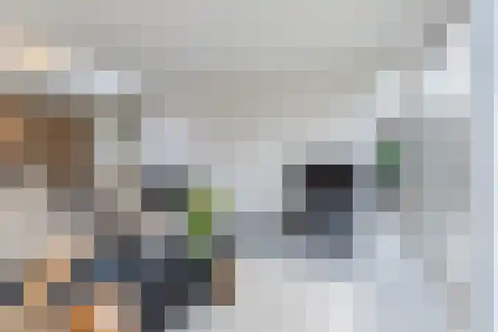 Rubenslaan 4 a Budel thumbnail 6