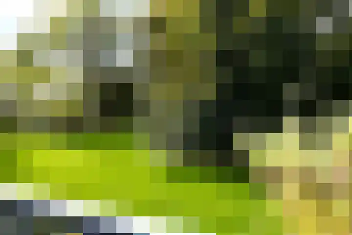 Rubenslaan 47 Utrecht thumbnail 13