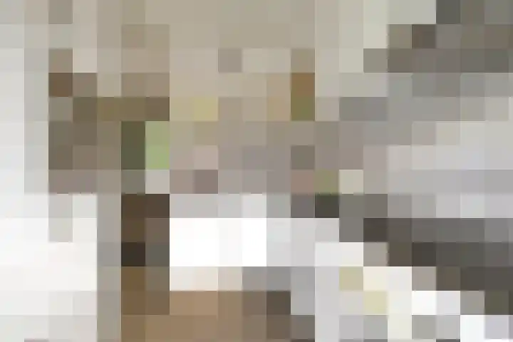 Rubenslaan 47 Utrecht thumbnail 18