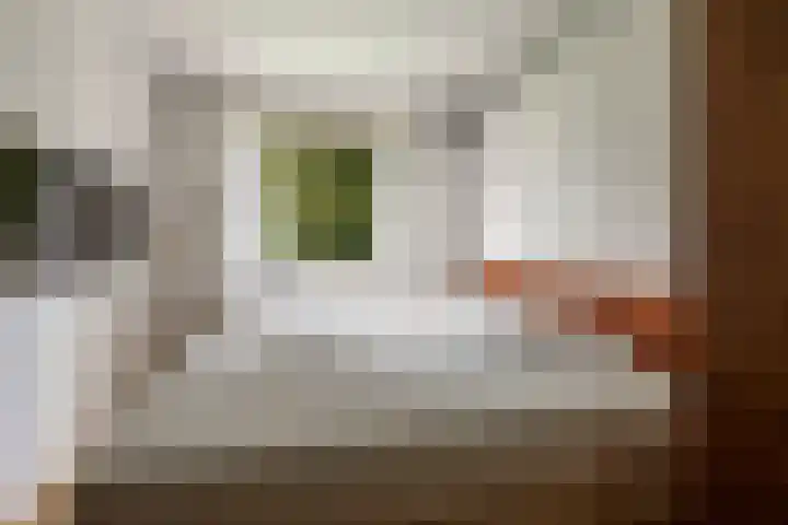 Rubenslaan 47 Utrecht thumbnail 22