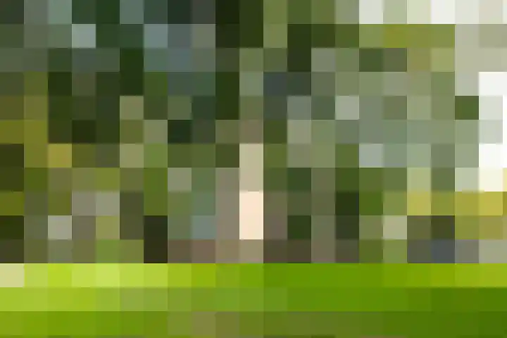 Rubenslaan 47 Utrecht thumbnail 28