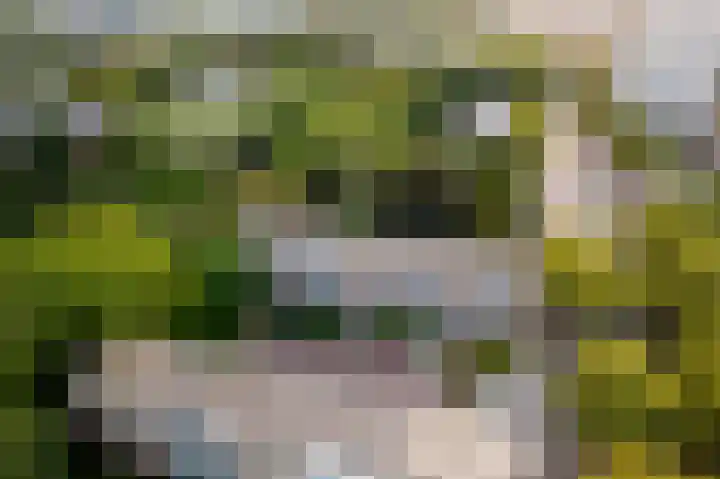 Rubenslaan 47 Utrecht thumbnail 31