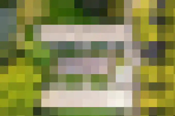 Rubenslaan 47 Utrecht thumbnail 32