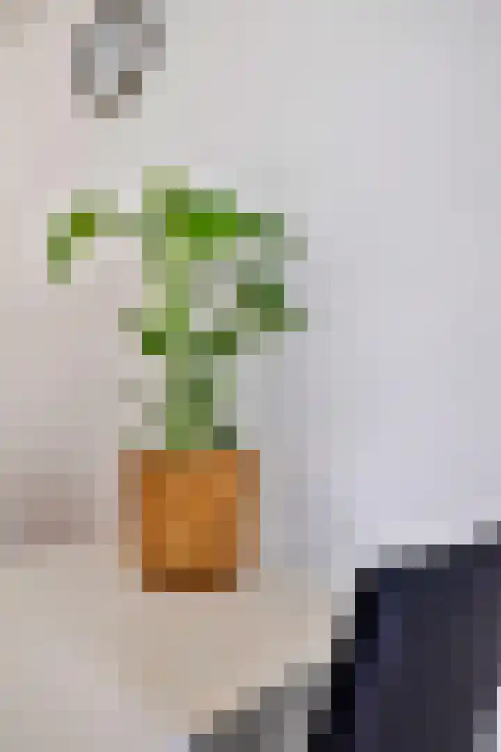 Rubenslaan 47 Utrecht thumbnail 6
