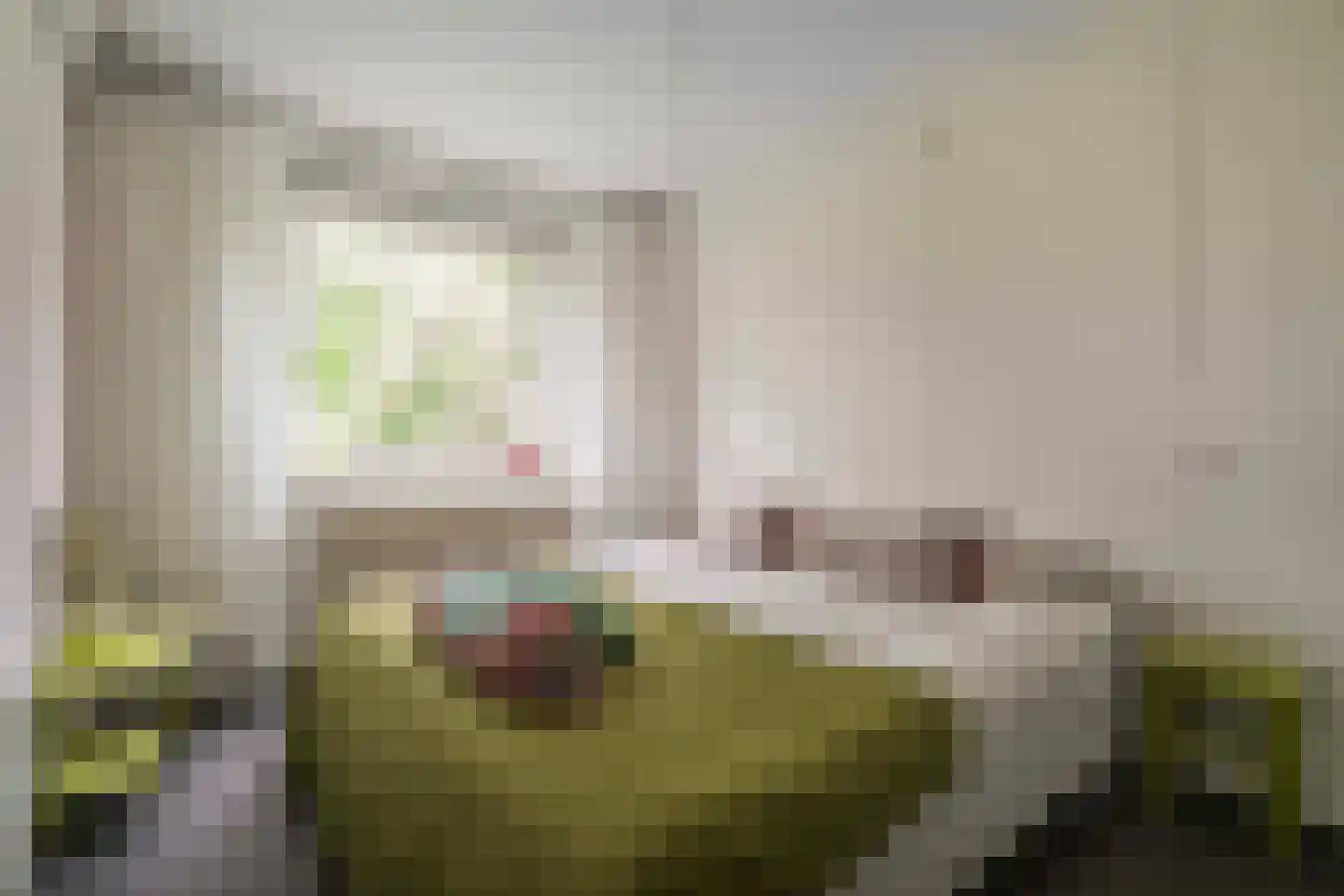 Rubenslaan 49 Utrecht thumbnail 16