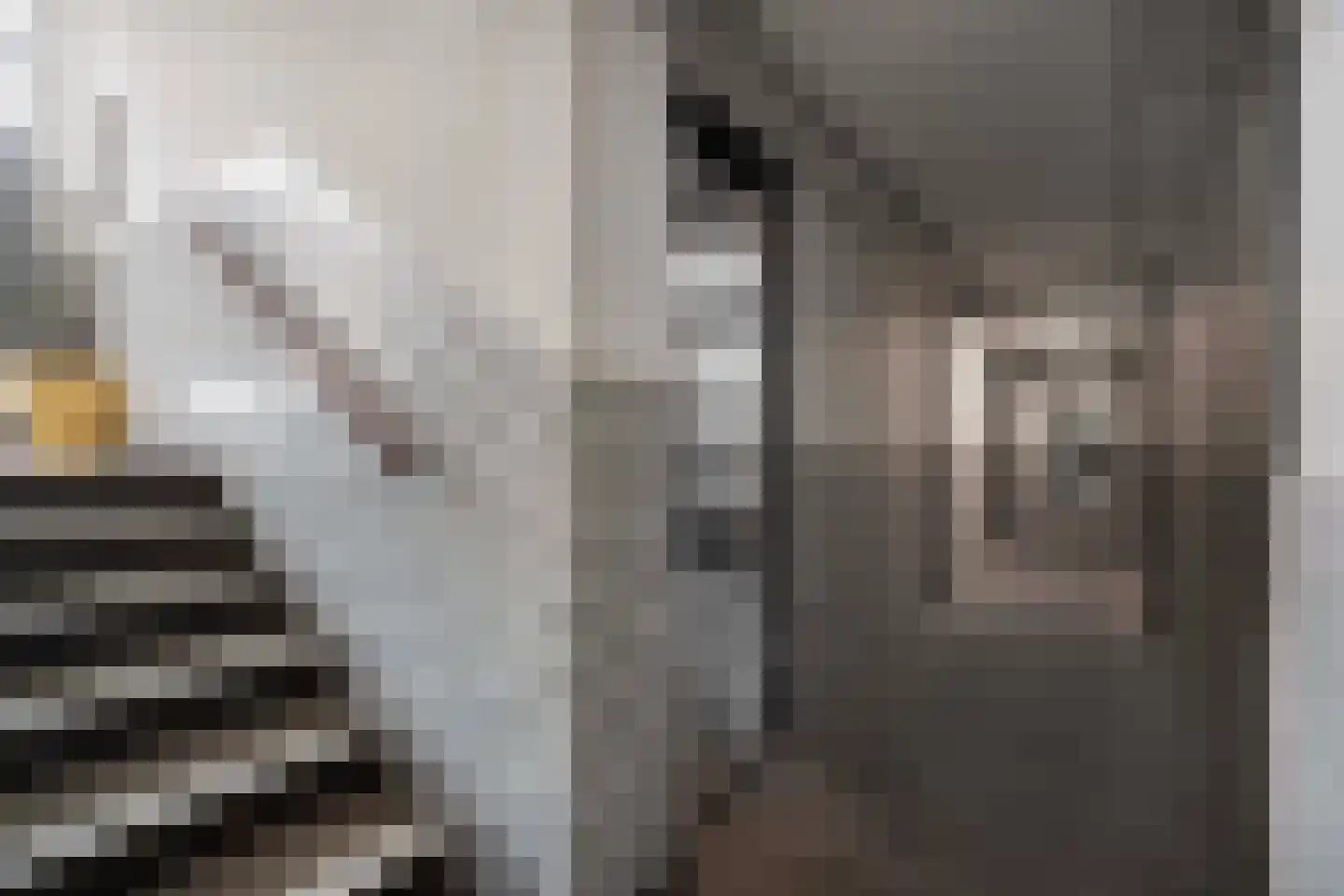 Rubenslaan 49 Utrecht thumbnail 18