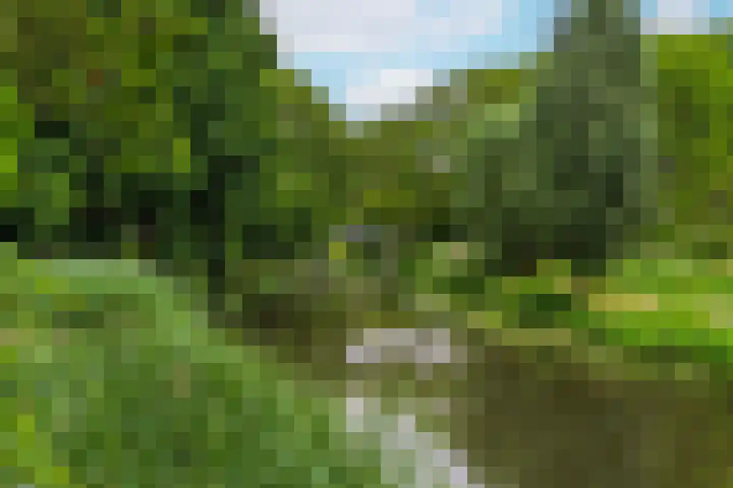 Rubenslaan 49 Utrecht thumbnail 23
