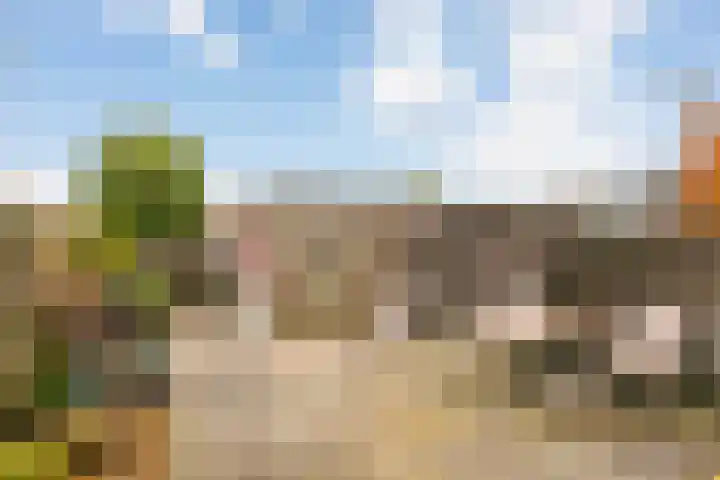 Rubenslaan 5 a Woudenberg thumbnail 23