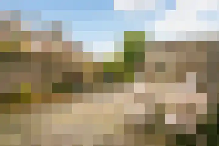 Rubenslaan 5 a Woudenberg thumbnail 24