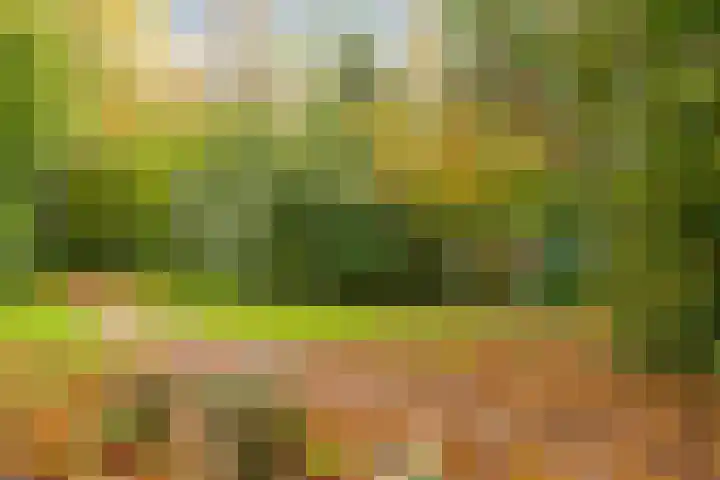Rubenslaan 5 a Woudenberg thumbnail 29