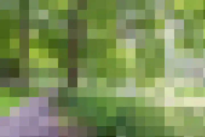 Rubenslaan 59 2 Utrecht thumbnail 22