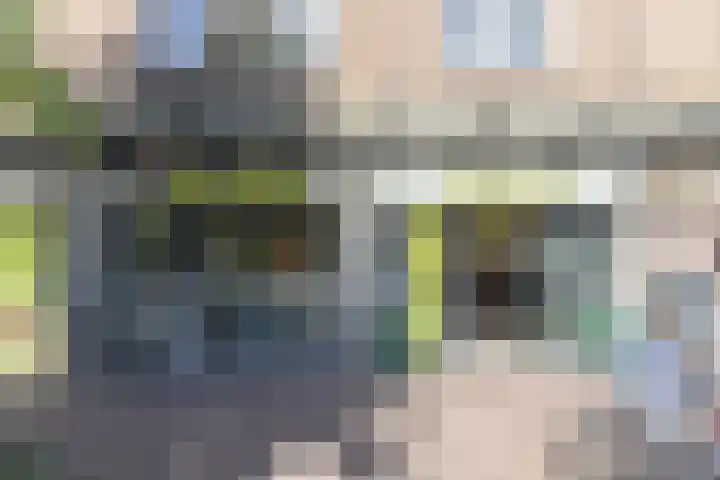 Rubenslaan 59 2 Utrecht thumbnail 24