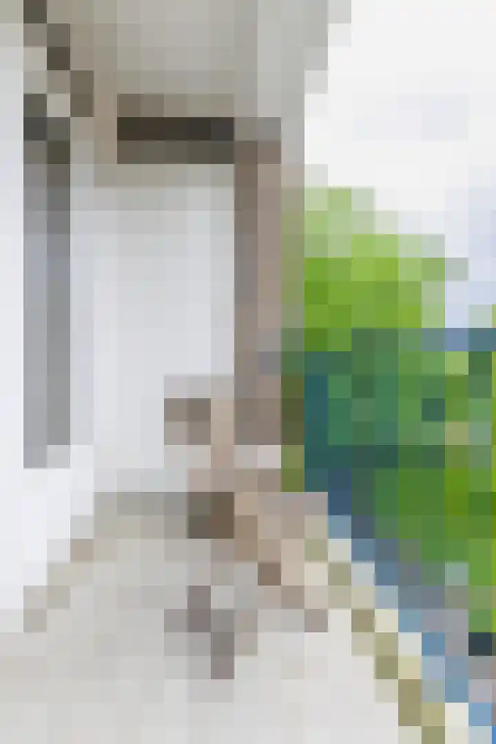 Rubenslaan 59 2 Utrecht thumbnail 4