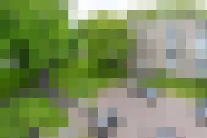 Rubenslaan 59 2 Utrecht thumbnail 5