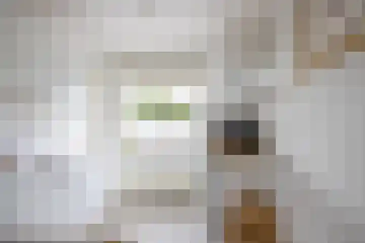 Rubenslaan 59 2 Utrecht thumbnail 9