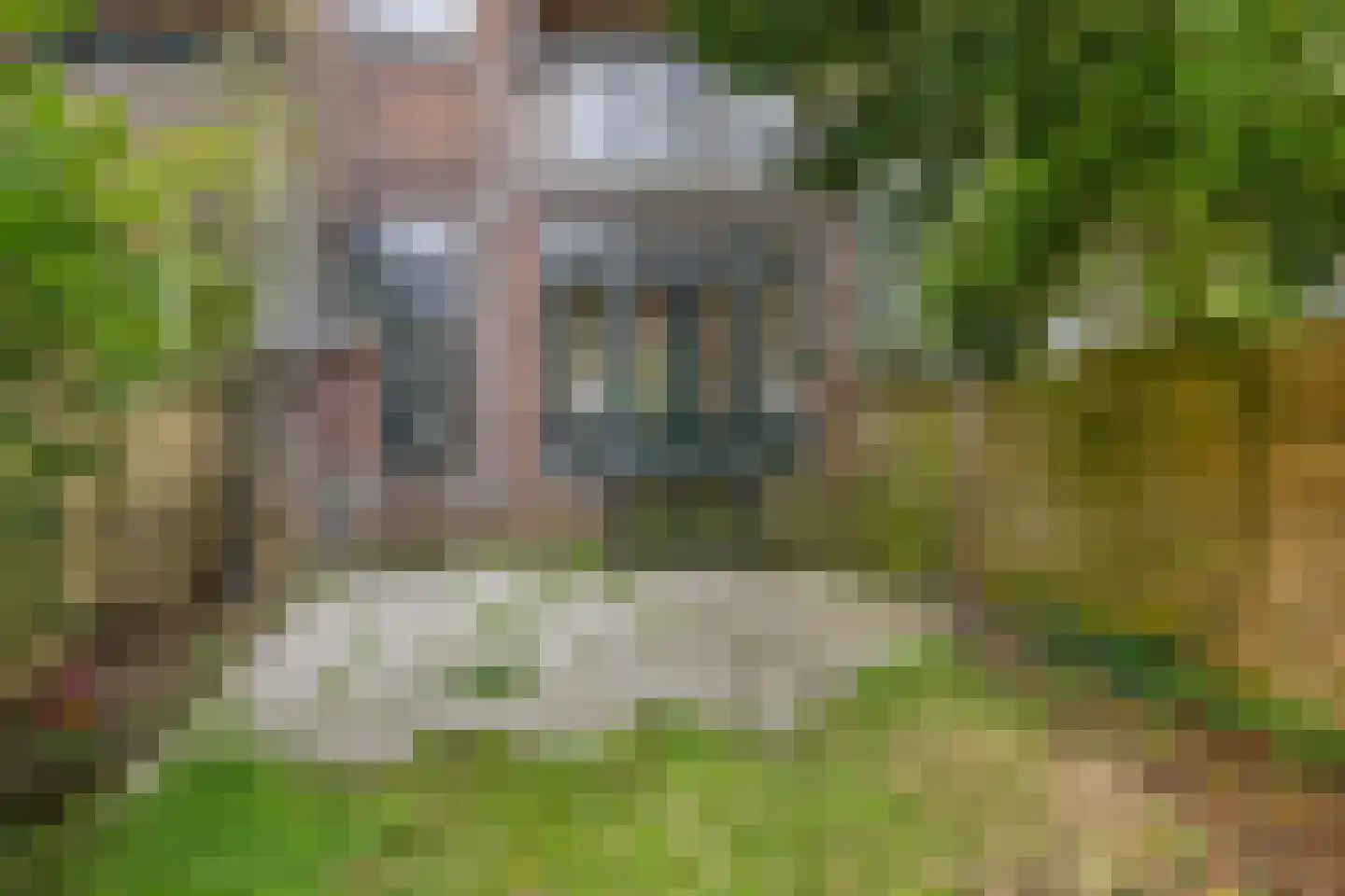 Rubenslaan 6 A Schiedam thumbnail 6